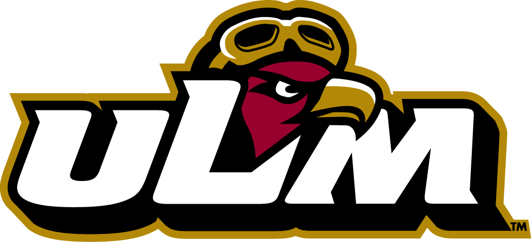 Louisiana-Monroe Warhawks 2006-Pres Misc Logo iron on transfers for clothing